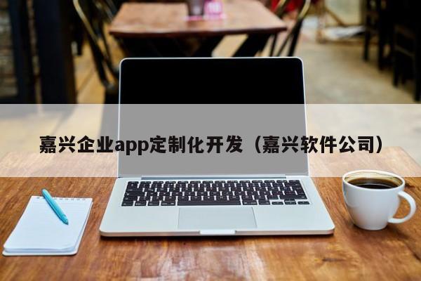 软件定制开发与嘉兴网站建设 驱动企业数字化转型的双引擎